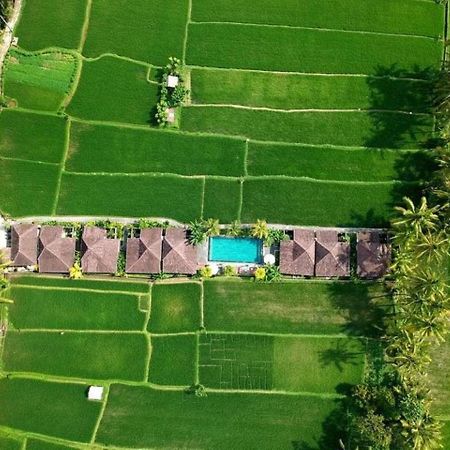 Intan Villa & Suite Ubud Exteriér fotografie