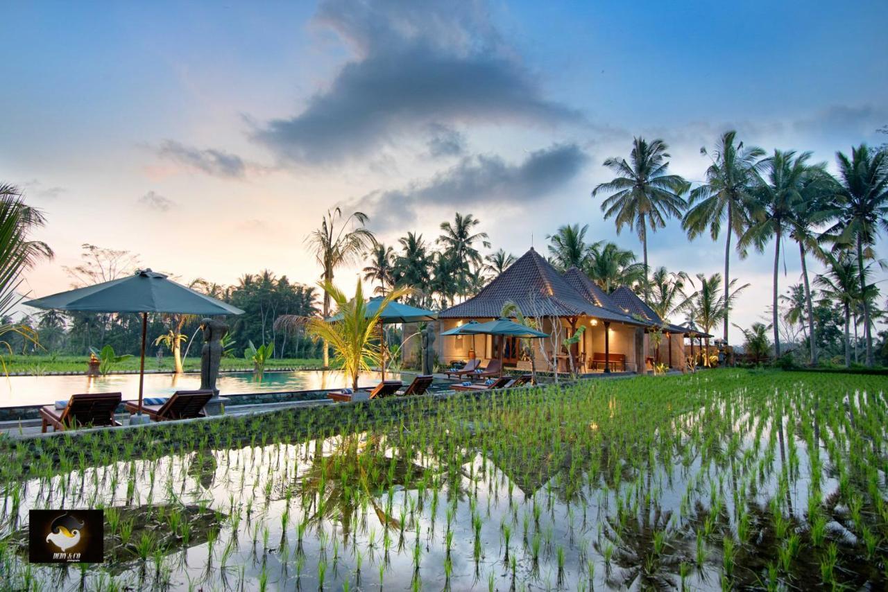 Intan Villa & Suite Ubud Exteriér fotografie